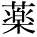 kanji character 'medicine' (print)